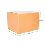 Caja XXL x 10 unidades